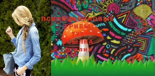 дурь Новокубанск