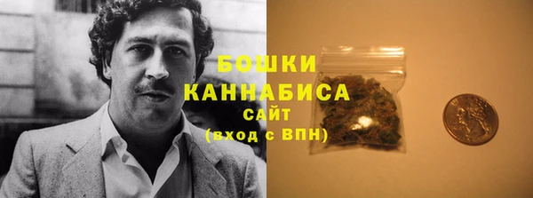 стафф Новодвинск