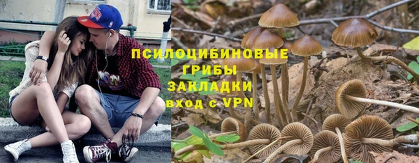 дурь Новокубанск