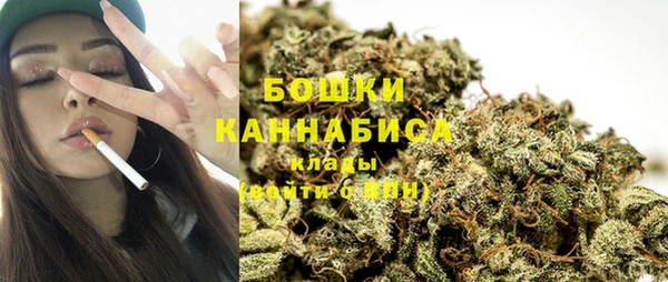 стафф Новодвинск