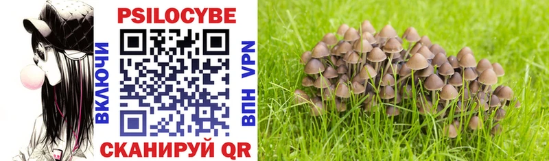 Псилоцибиновые грибы Magic Shrooms  Котельнич 